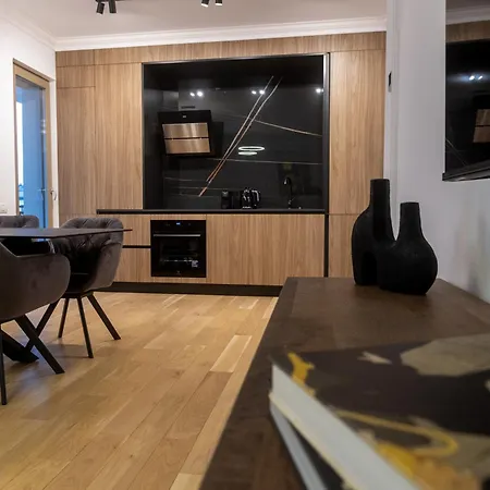 Apartmán Maisona - Modern And Stylish Near Center Temešvár