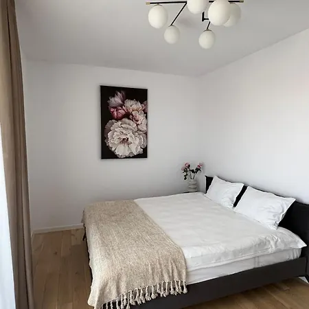 Apartmán Maisona - Modern And Stylish Near Center Temešvár