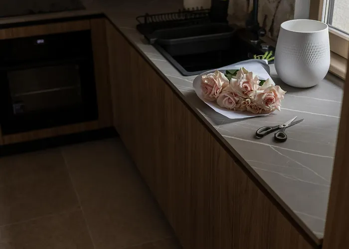 Appartement Maisona - Modern And Stylish Near Center