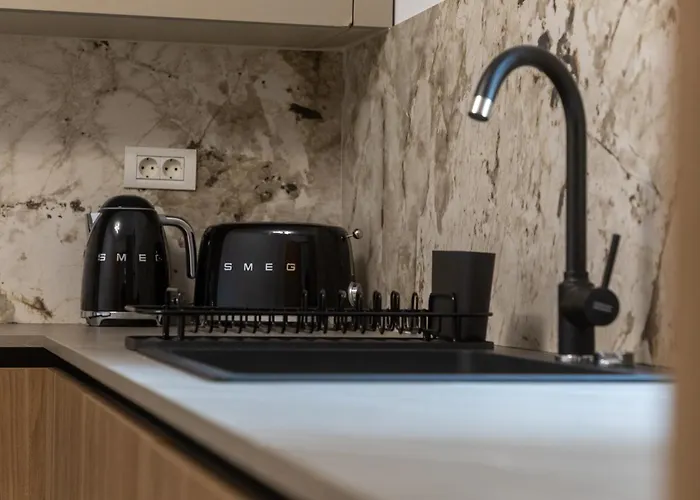 דירה Maisona - Modern And Stylish Near Center טימישוארה